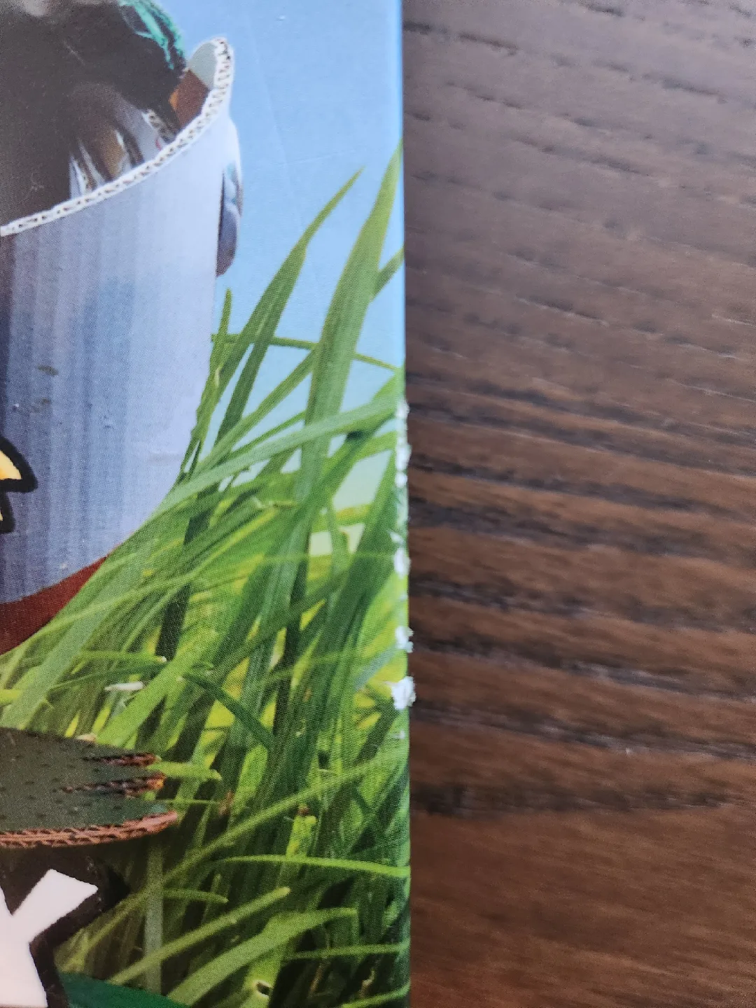 Dog Man / Cat Kid books - set of 11 image indicator(3)