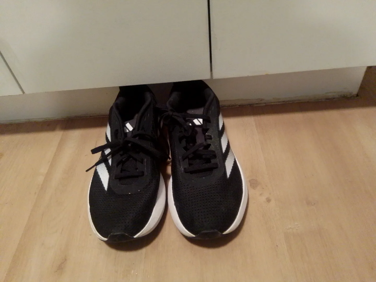 Adidas Adizero RC 5 Running Shoes, Black image indicator(2)
