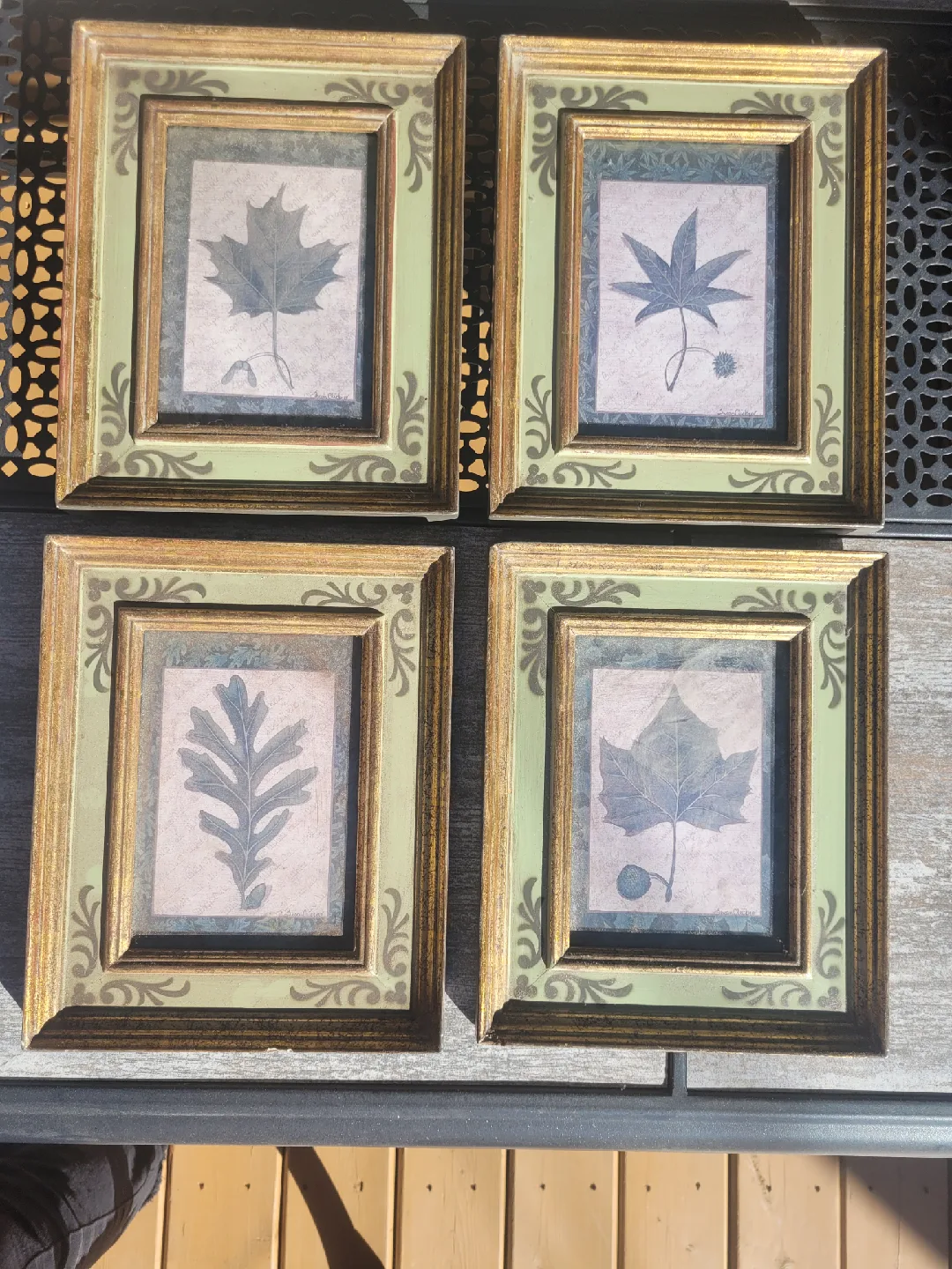 Set of 4 Framed Leaf Prints thumbnail