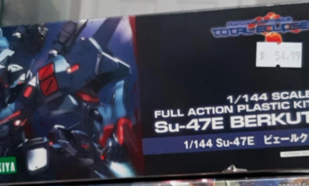 1/144 Scale Su-47E Berkut & Gundam Model Kits - photo 2