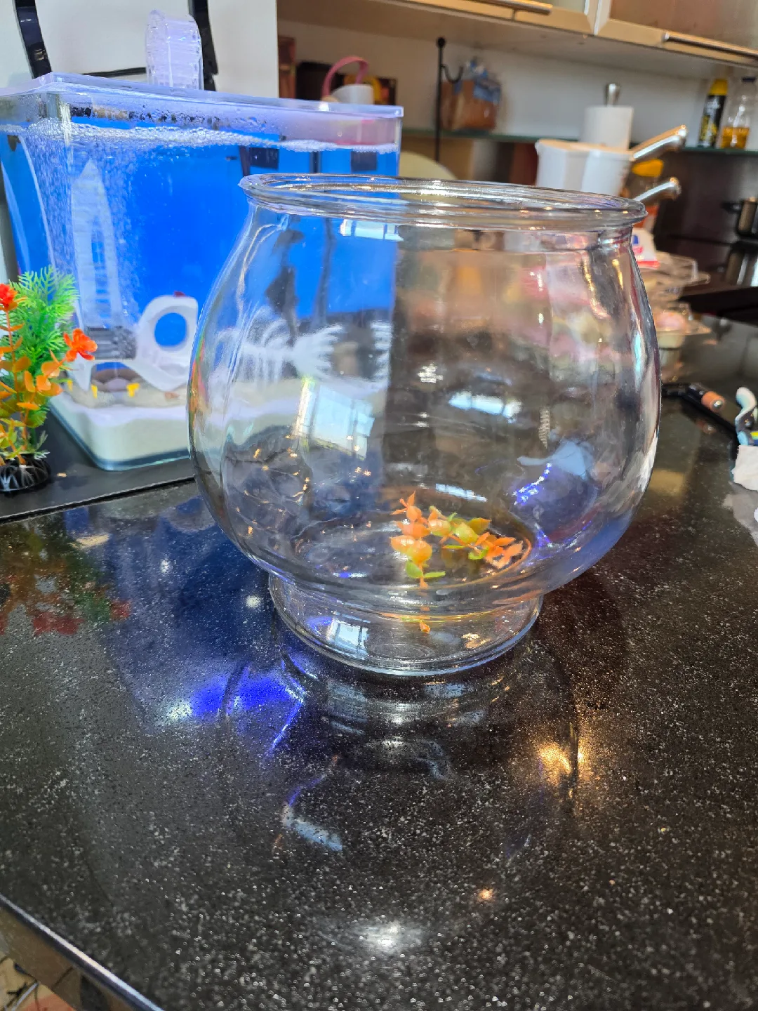 Small Glass Fish Bowl image indicator(4)