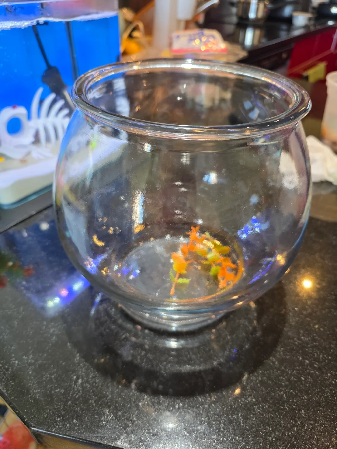 Small Glass Fish Bowl image indicator(5)