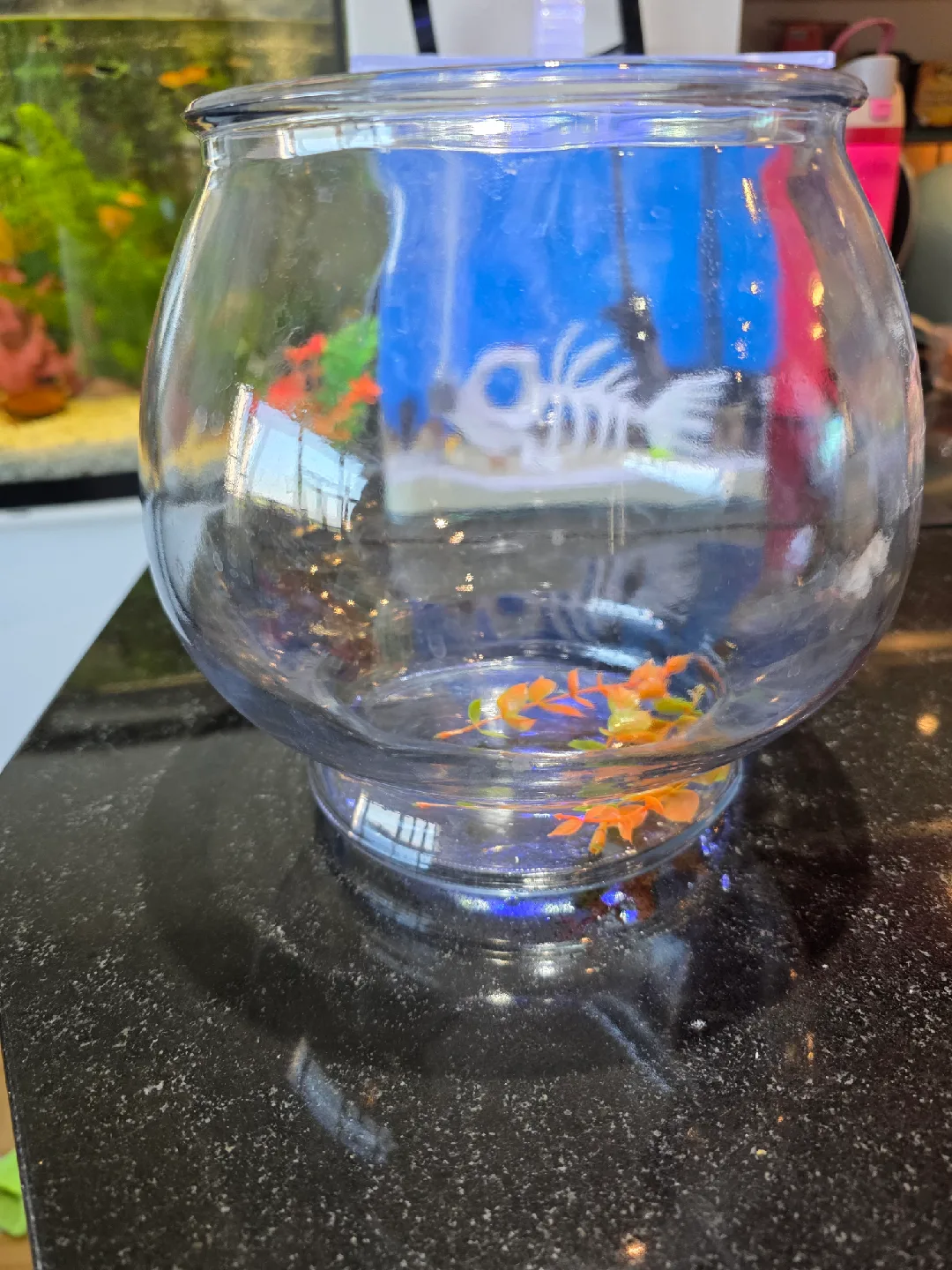 Small Glass Fish Bowl image indicator(7)