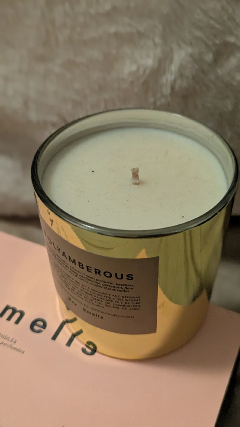 Boy Smells Polyamberous Candle image indicator(2)