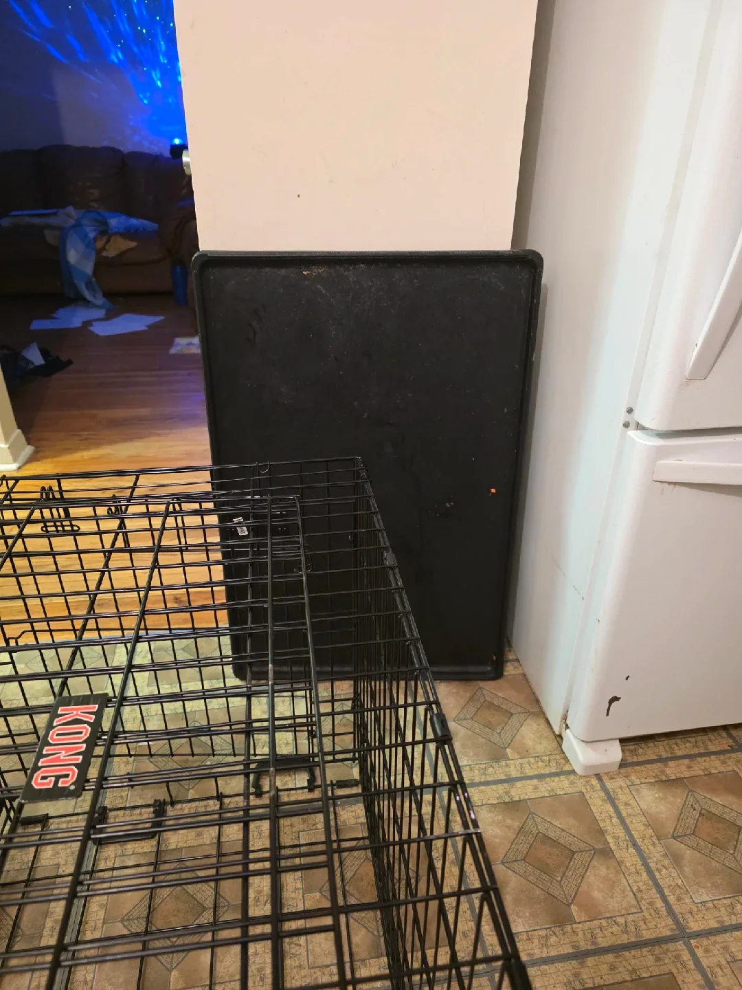 KONG Dog Crate - 36 x 24 x 26.5 inches image indicator(2)