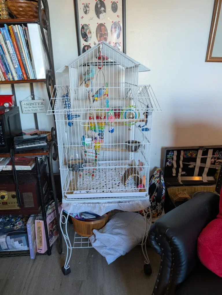 pet image indicator(3)