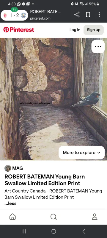 Robert Bateman Young Barn Swallow Print image indicator(2)