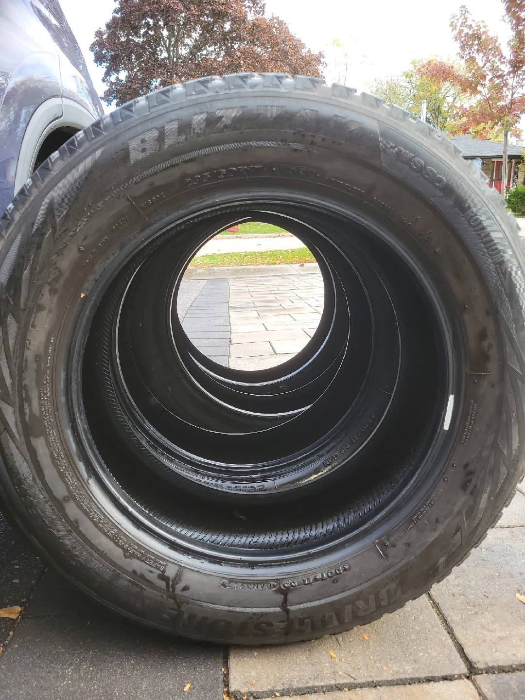 Bridgestone Blizzak DM-V2 Winter Tires