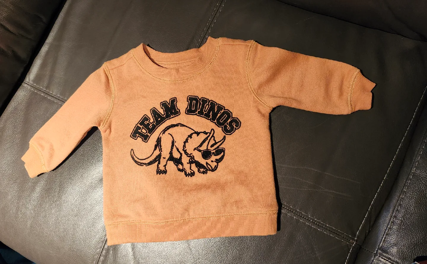 Team Dinos Baby Sweater Size 3-6months thumbnail