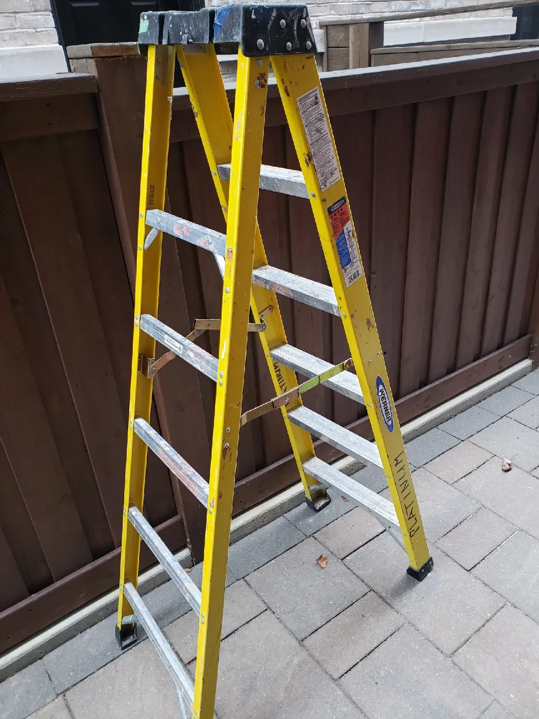 Werner Platinum Ladder 6ft
