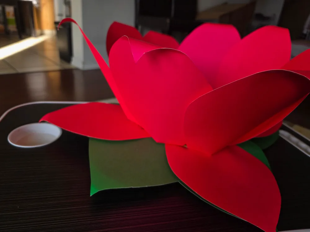 Paper Flower Decoration image indicator(3)
