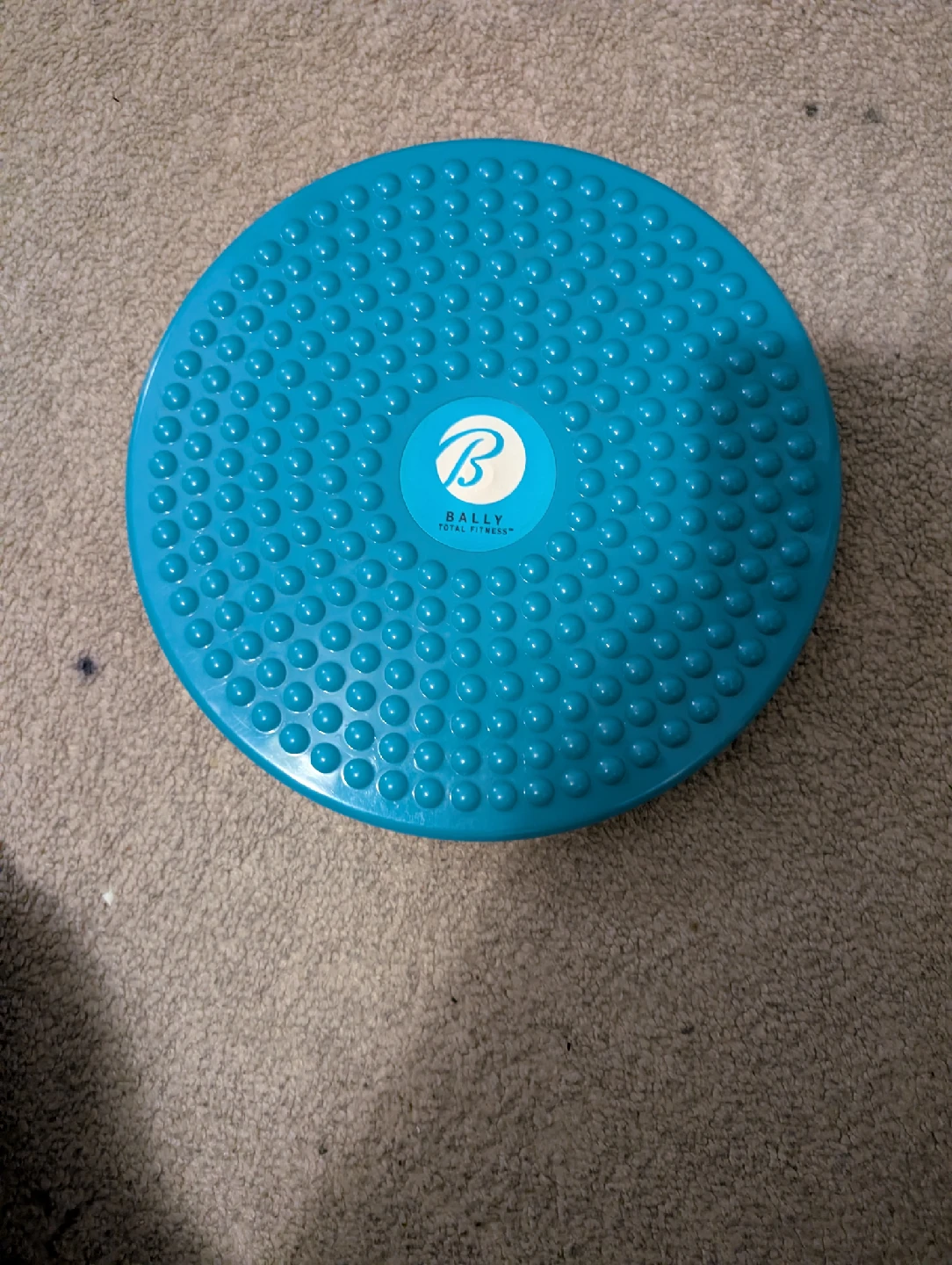 Bally Total Fitness twist board