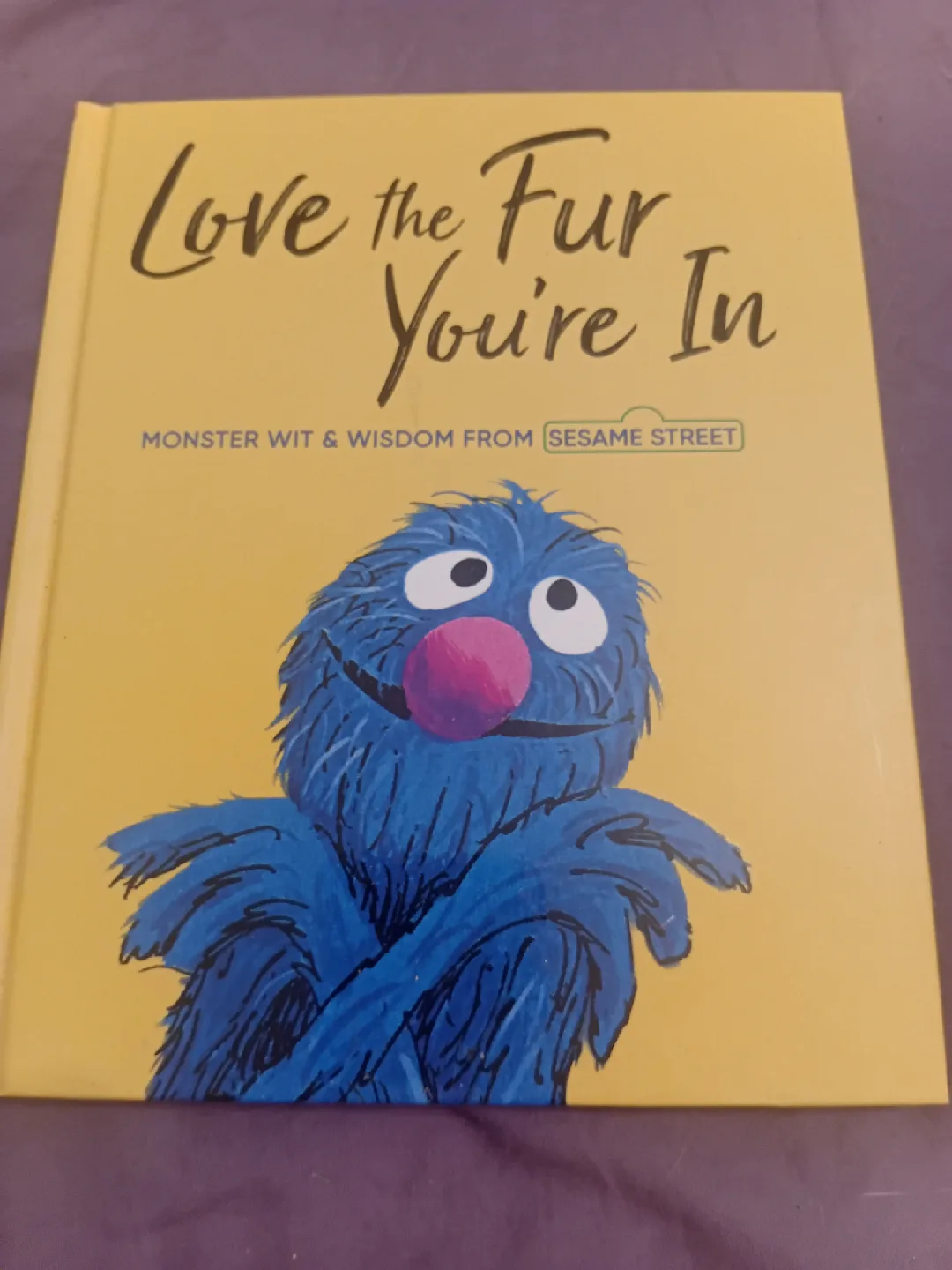 Love the Fur You're In: Sesame Street Book thumbnail