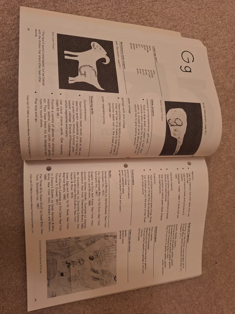 Teacher/Parent  Resource "R is for Rainbow Book" image indicator(2)