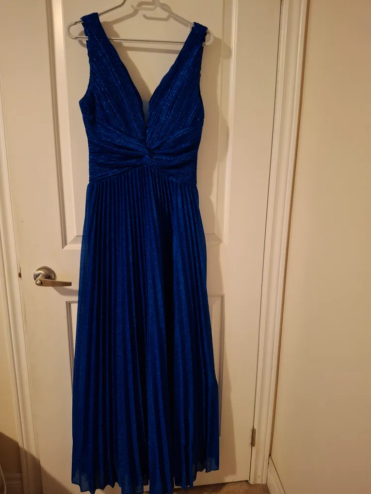 Blue Pleated Gown image indicator(4)