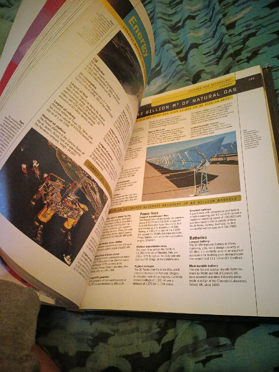 The Guinness Book of Records 1998 image indicator(5)