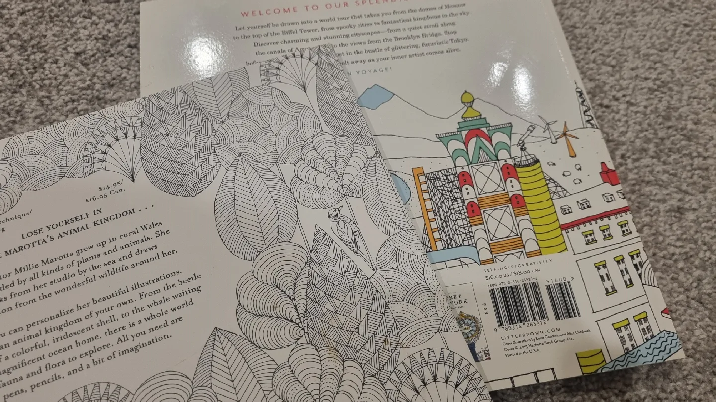 2 adult Colouring Books: Animal Kingdom & Splendid Cities image indicator(4)