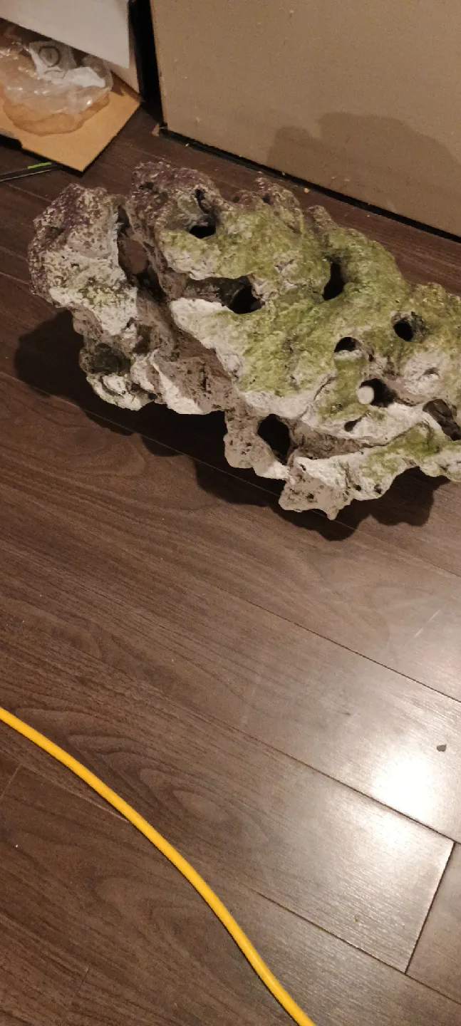 Aquarium Rocks and Seashells image indicator(2)