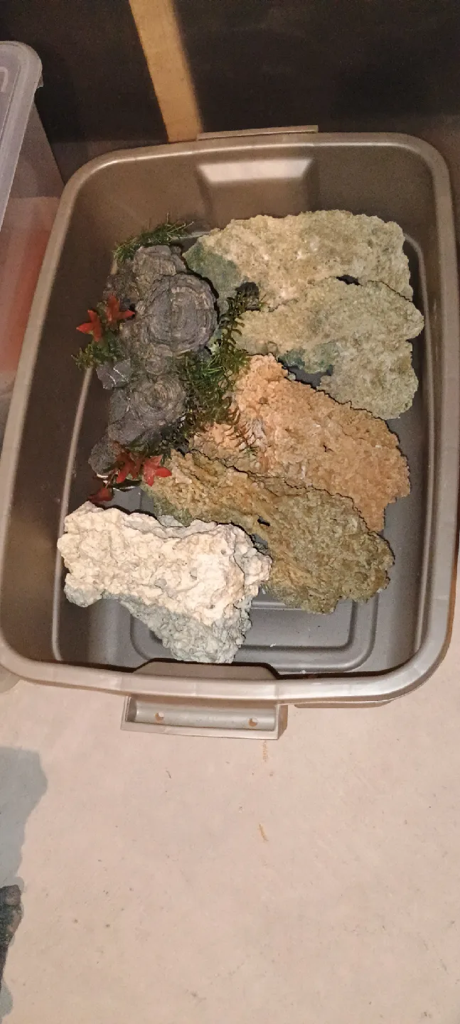 Aquarium Rocks and Seashells image indicator(3)