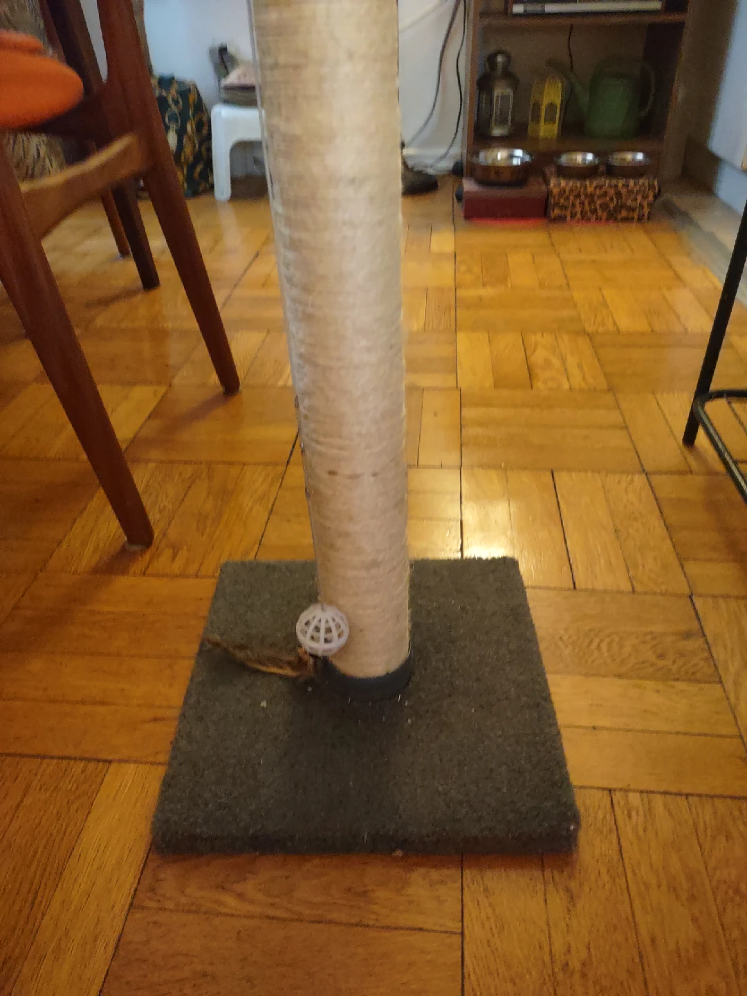 Cat Scratching Post & Cat Bed