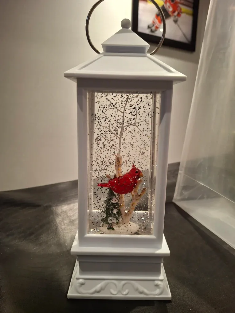 Beautiful snow globe thumbnail