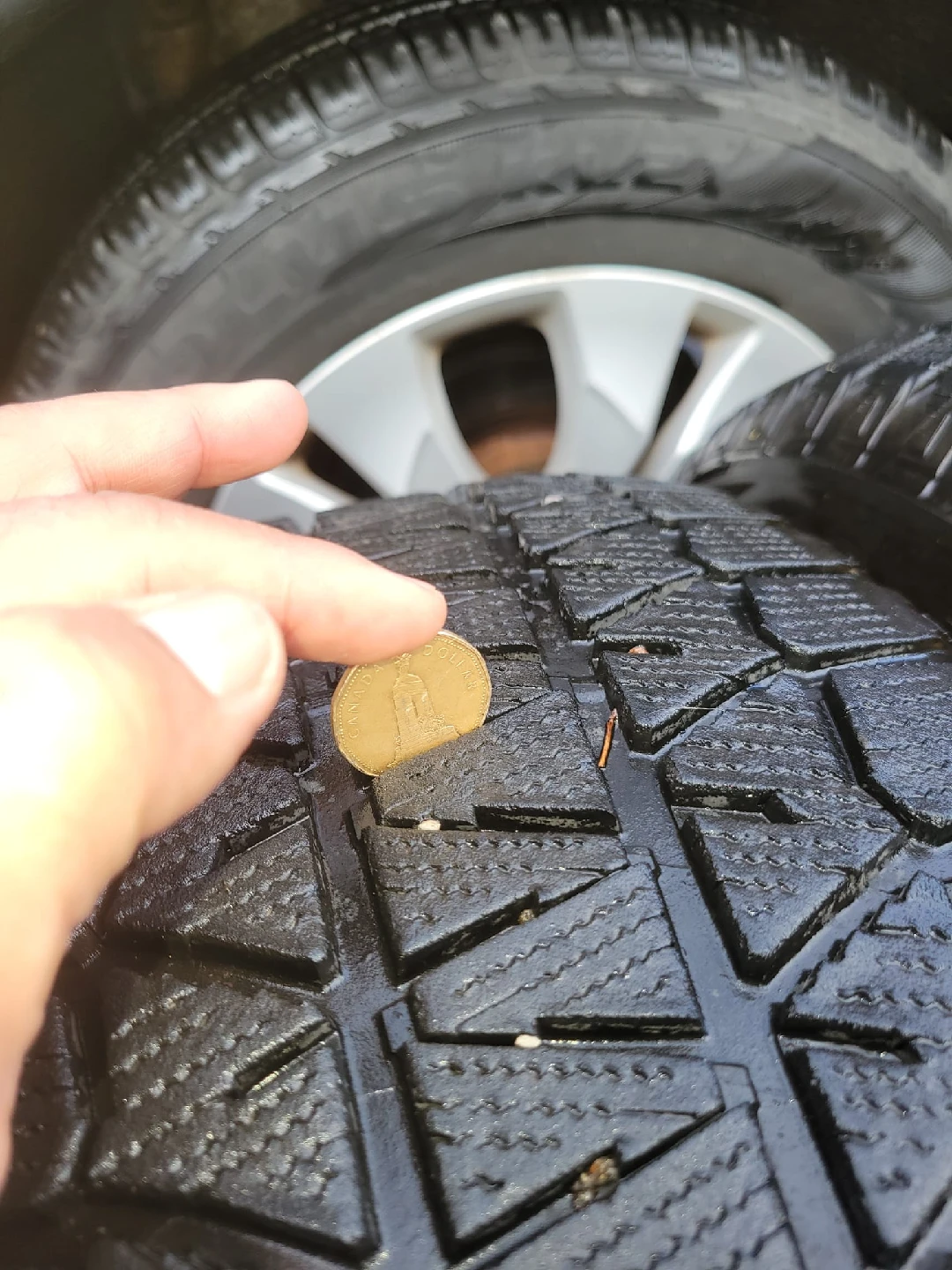 Bridgestone Blizzak DM-V2 Winter Tires - photo 3