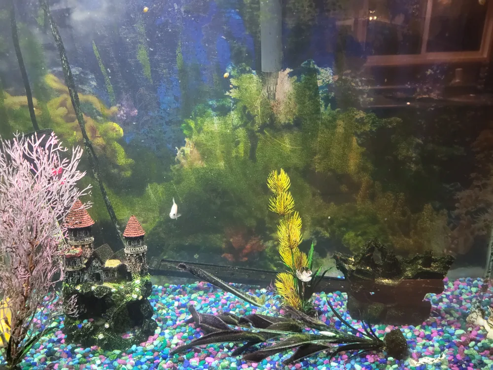 Fish Tank with Accessories image indicator(2)