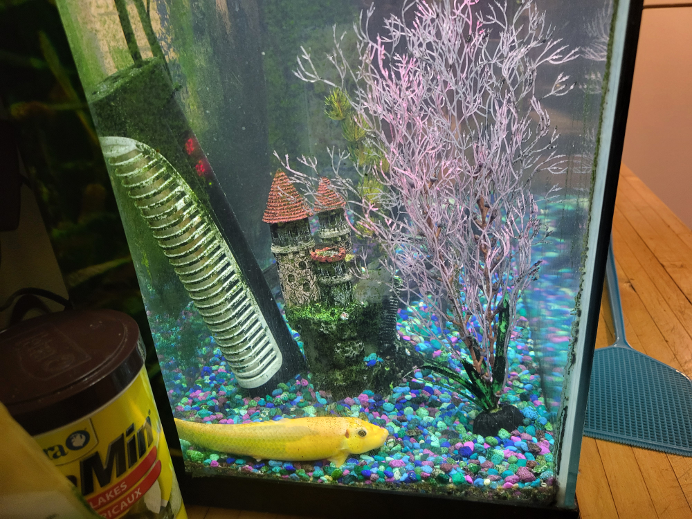 Fish Tank with Accessories - photo 3