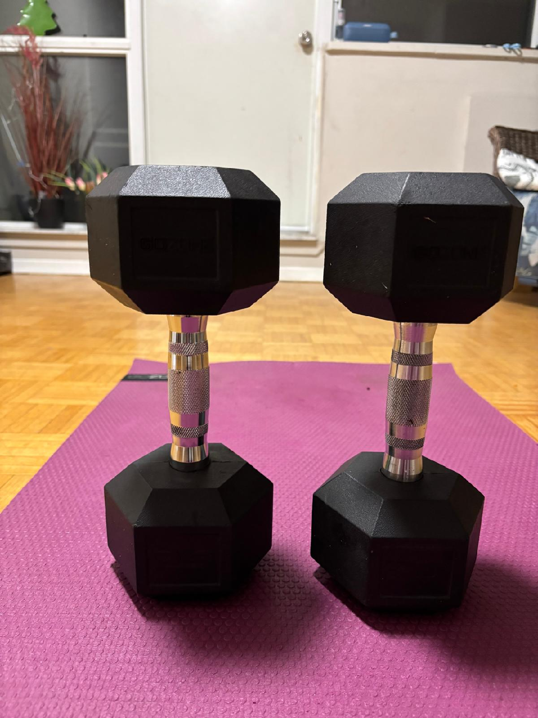 GoZone 25lb Hex Dumbbells - Pair