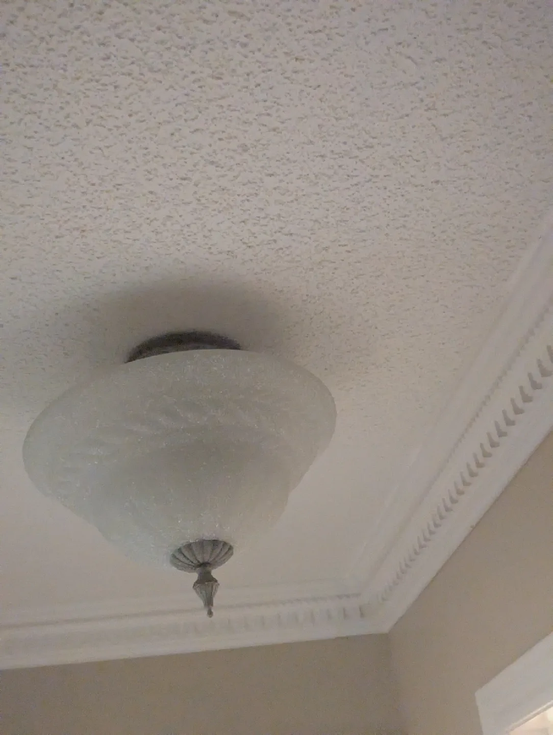Ceiling Light Fixture image indicator(3)