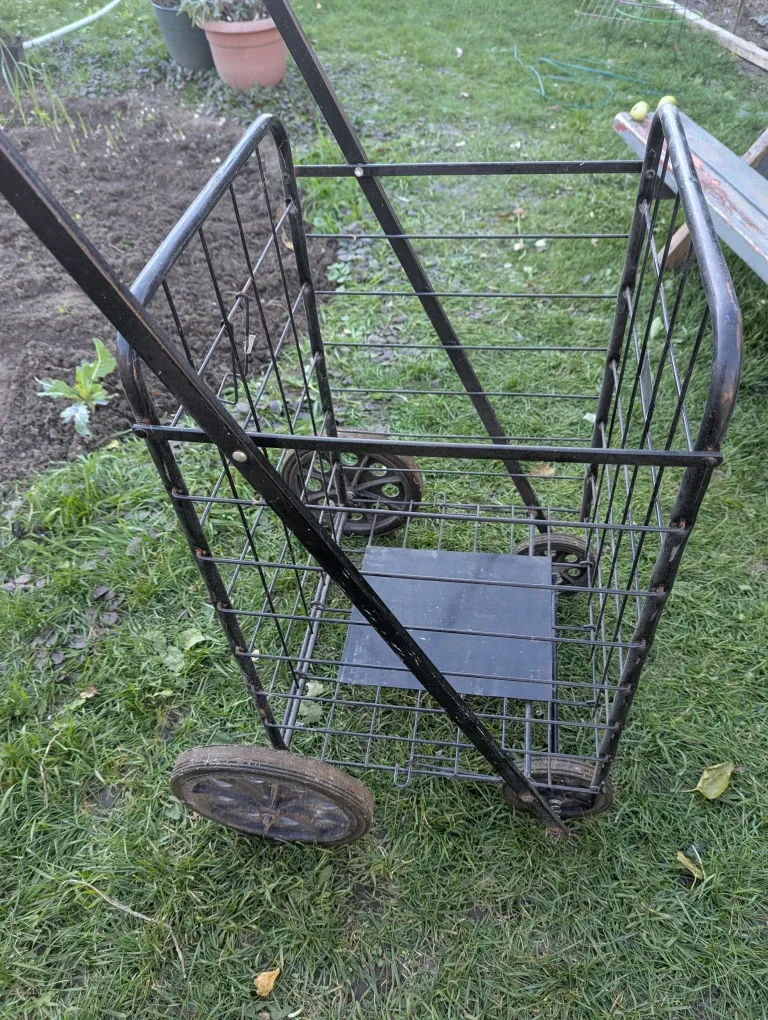 Metal Wire Shopping Cart
