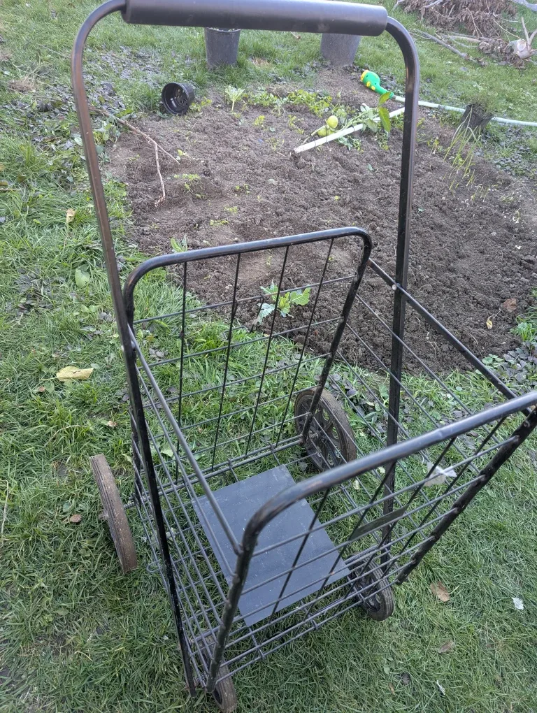 Metal Wire Shopping Cart image indicator(2)