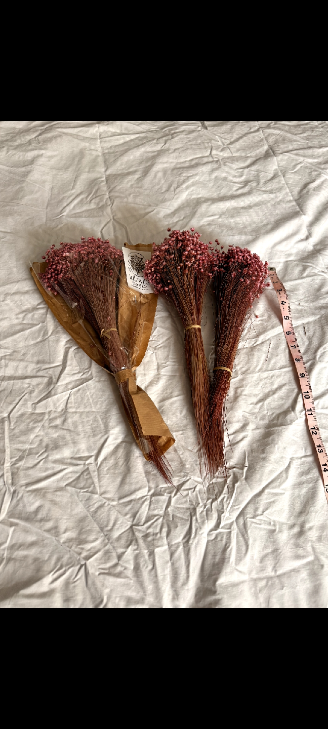 Dried flowers - photo 2