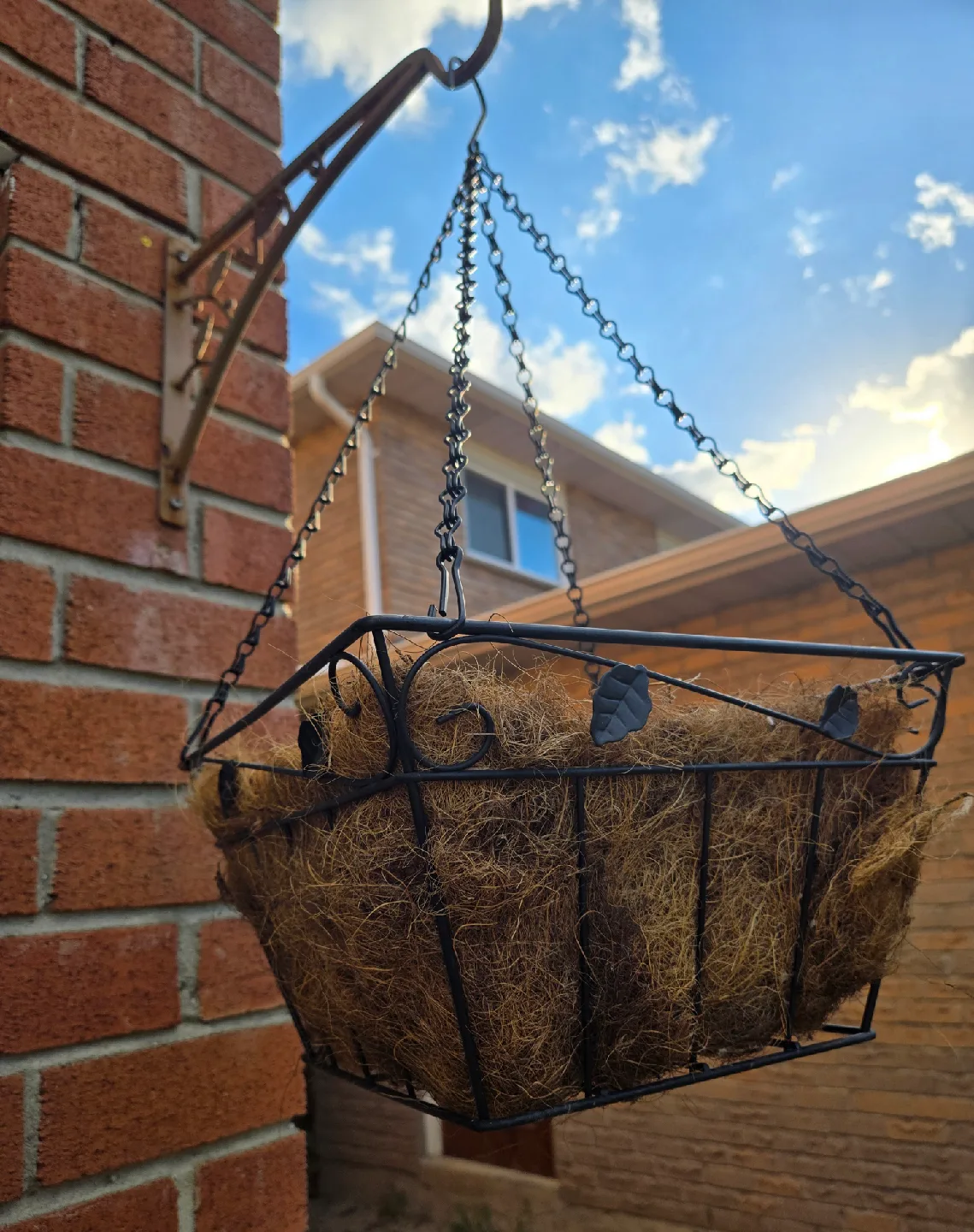 Metal Hanging Planter Basket w/ Coco Liner thumbnail