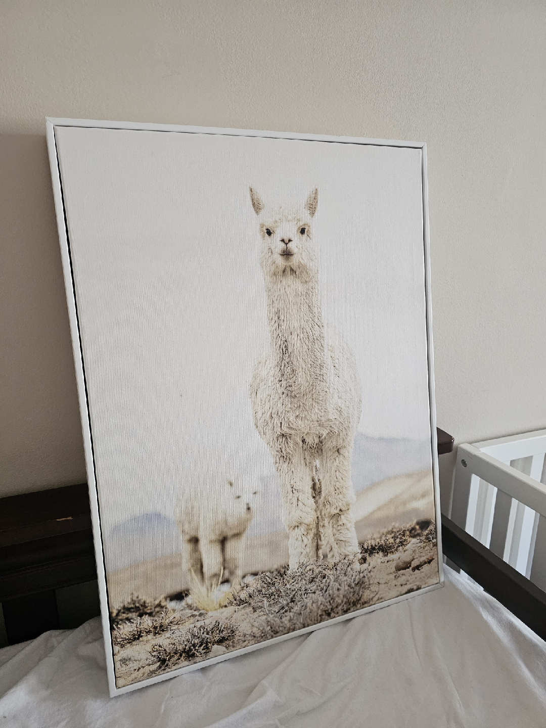 Alpaca Photography Canvas Wall Art - photo 2