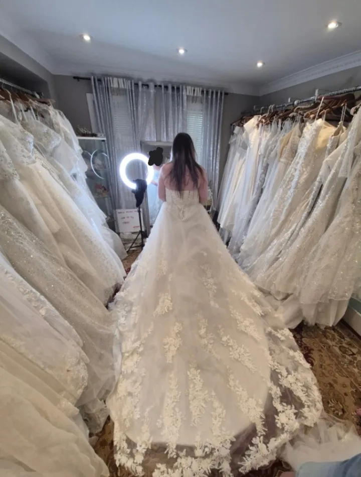 Wedding Dress - Ivory, Beaded & Lace image indicator(6)