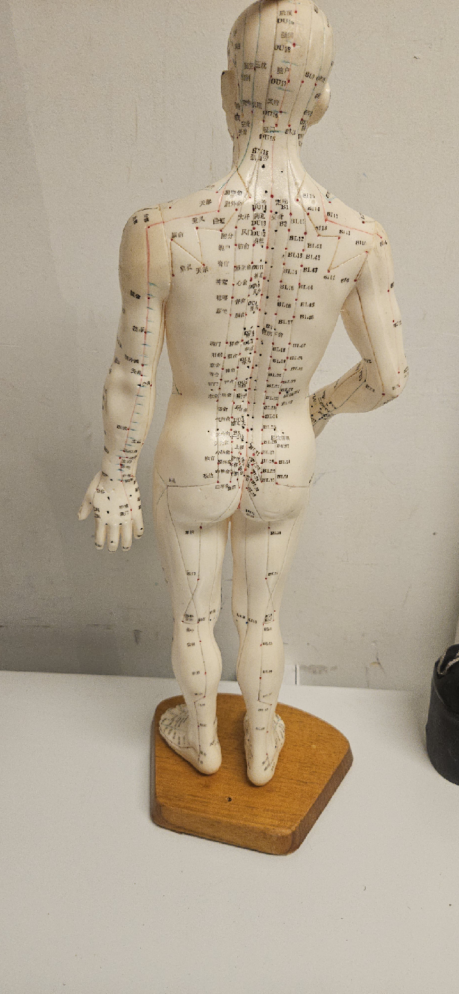 Acupuncture Model - photo 2