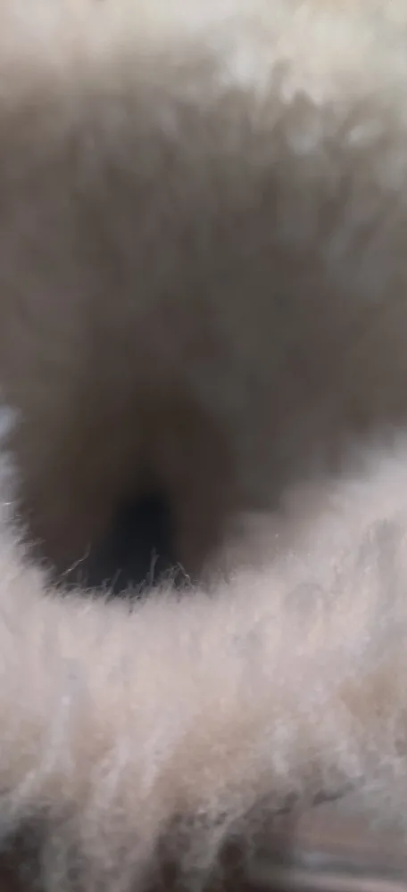 UGG Australia S/N 5803 Size 6 Boots image indicator(6)