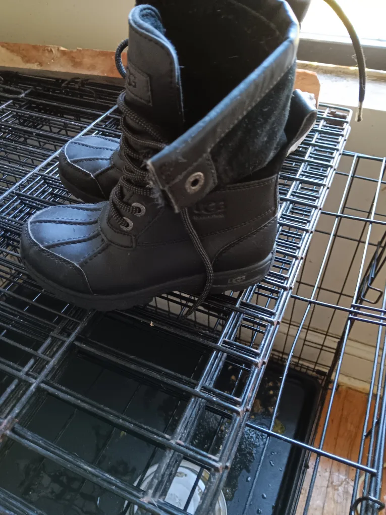 UGG Black Duck Boots - Size 12c image indicator(2)