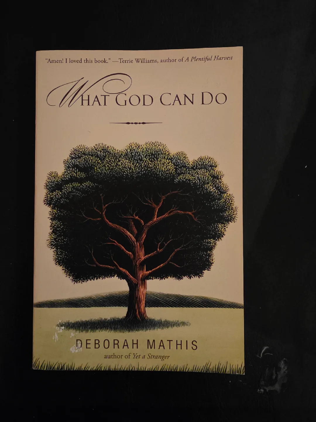 Mindfulness Meditation Book: Wherever You Go, There You Are image indicator(7)