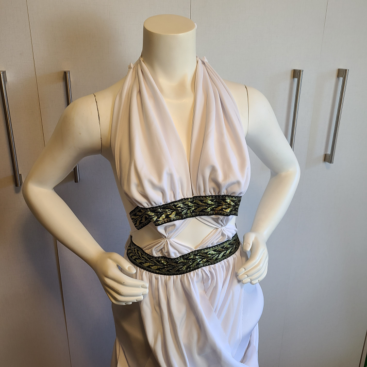 Greek Goddess costume from Spirit for $10! - photo 2