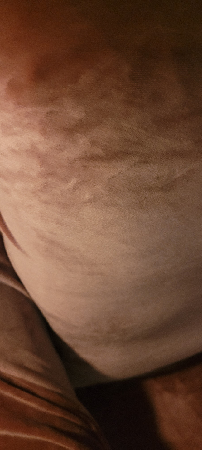 Sofa Cover