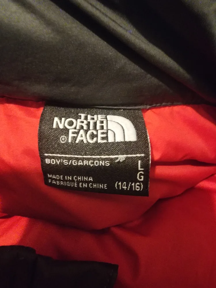 🥕   The North Face Boys' Puffer Jacket, Size L (14/16) image indicator(2)