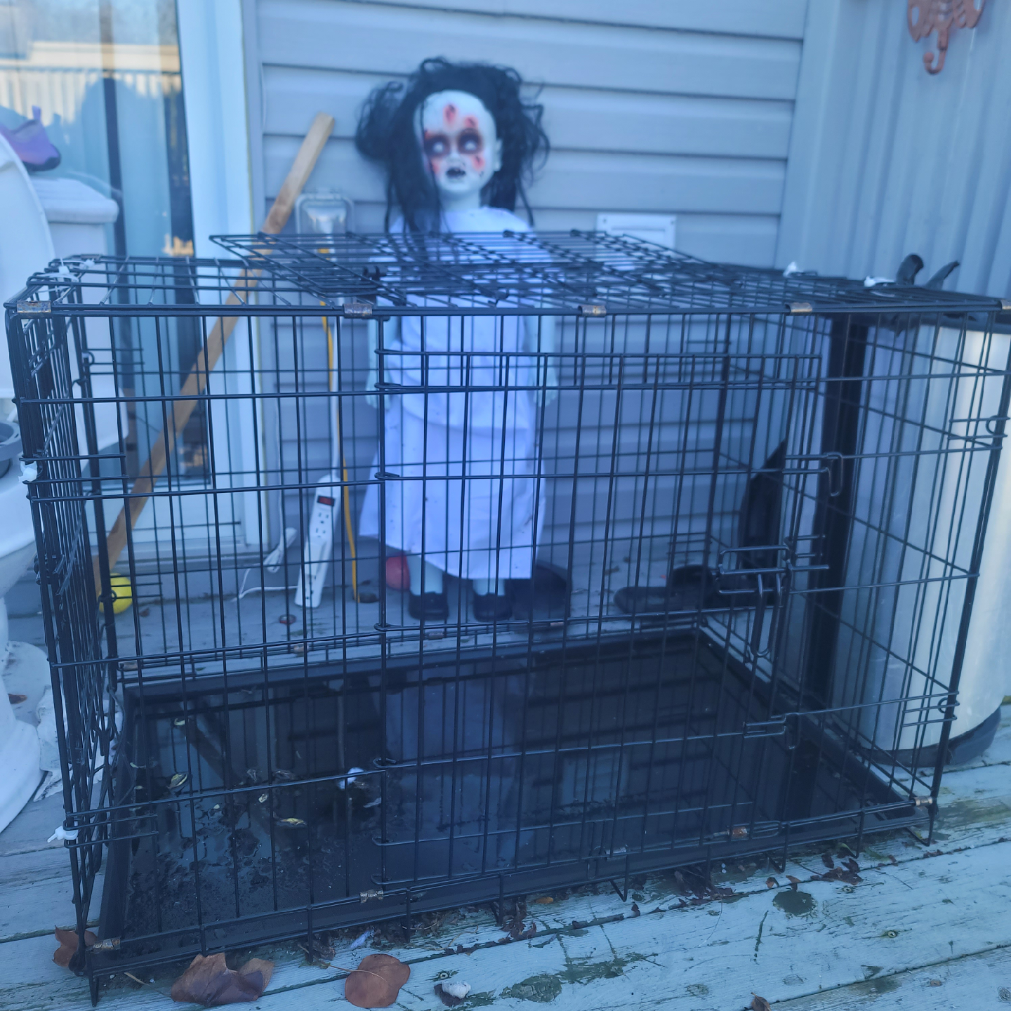 budz dog crate for medium size dog