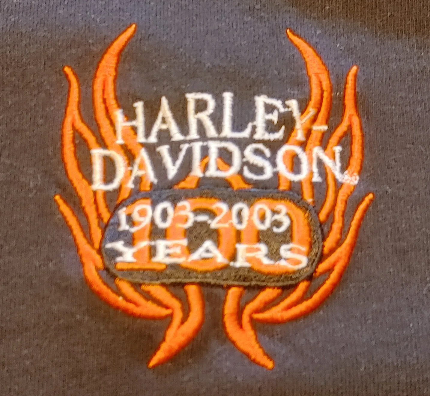 Harley-Davidson Black Long Sleeve - XL image indicator(9)
