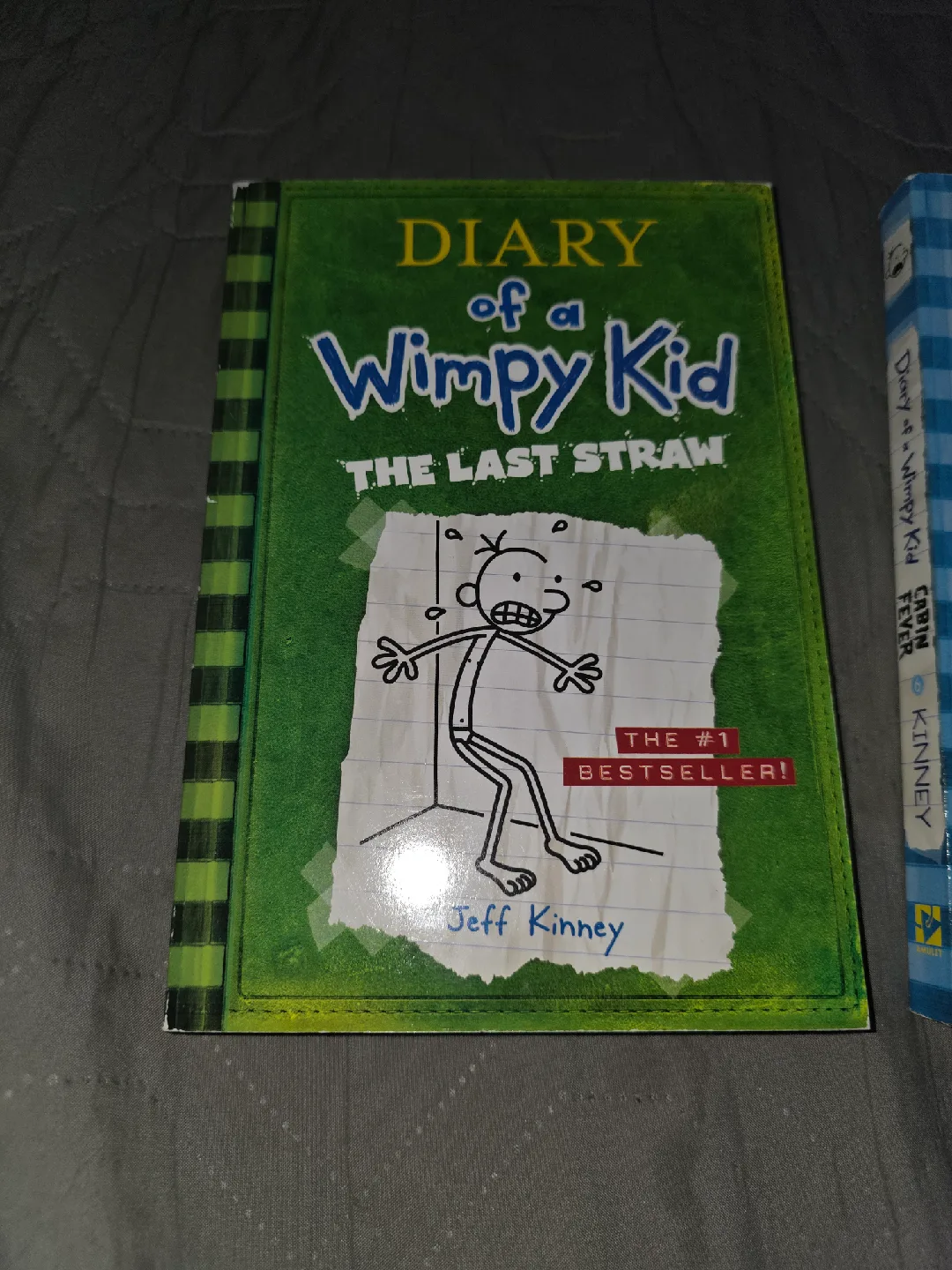 Diary of a Wimpy Kid books image indicator(2)