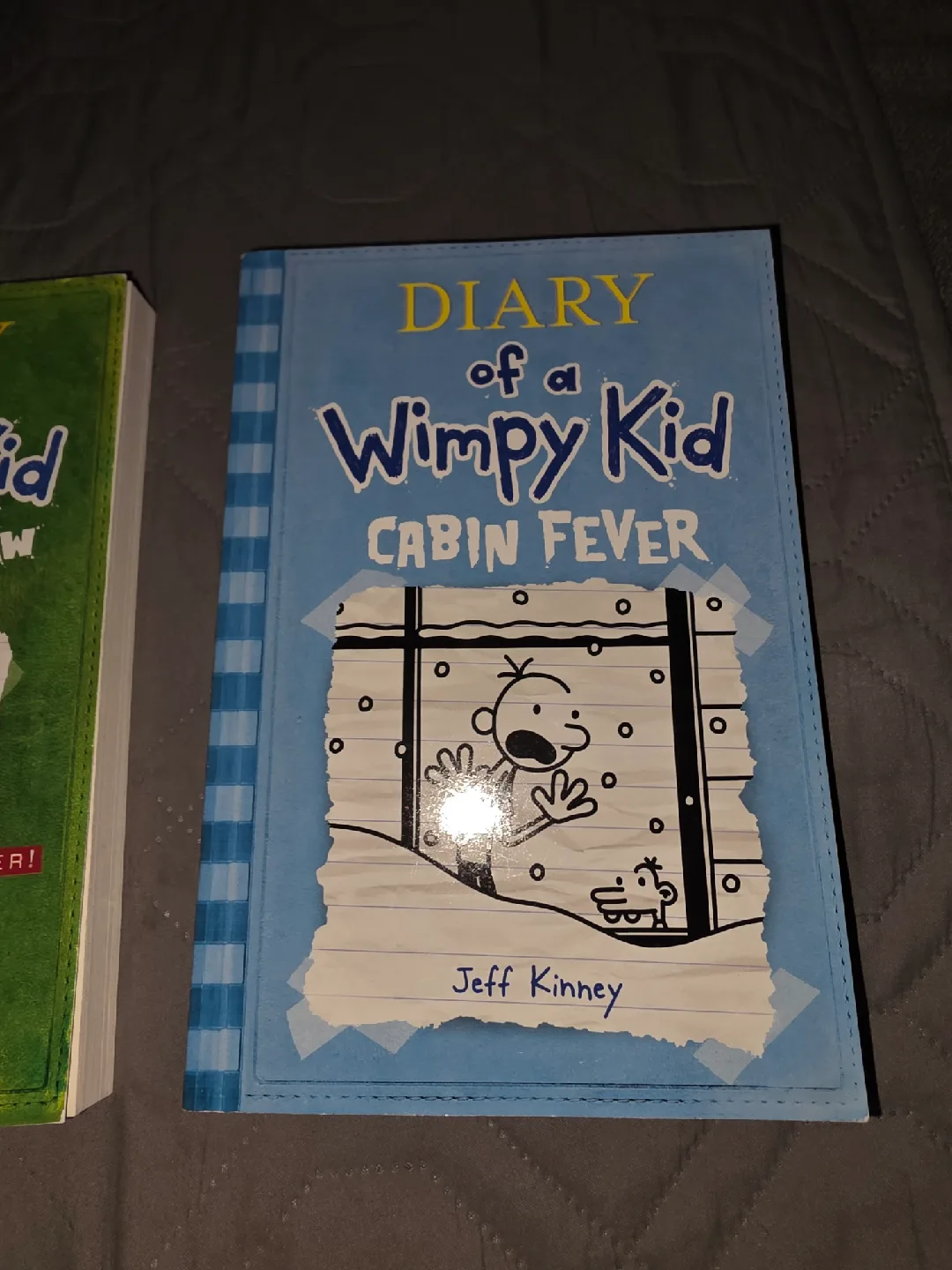 Diary of a Wimpy Kid books image indicator(3)