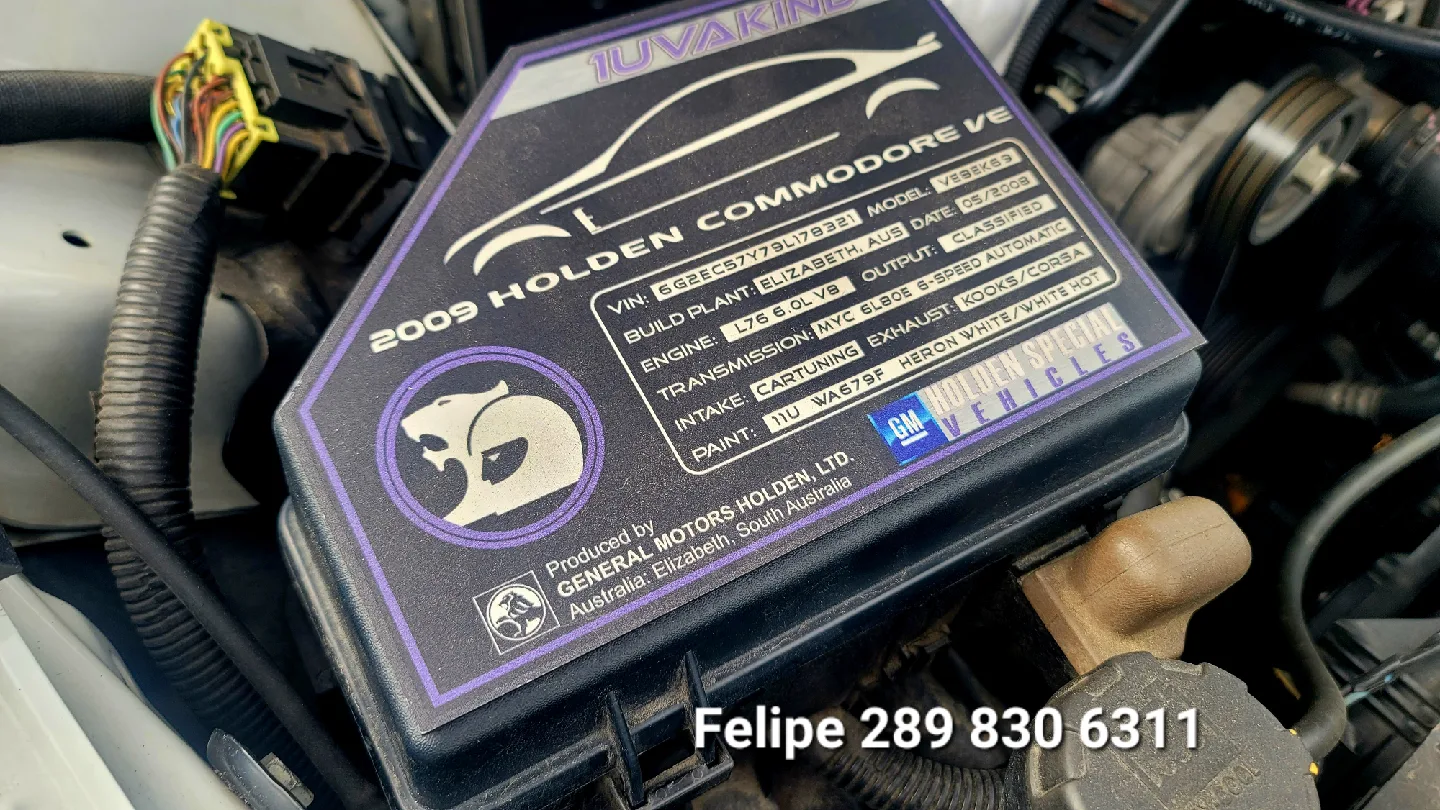 2009 Pontiac G8 4dr Sdn GT image indicator(6)