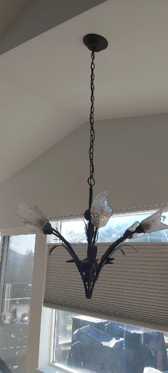 Wrought Iron Chandelier with Floral Shades image indicator(4)
