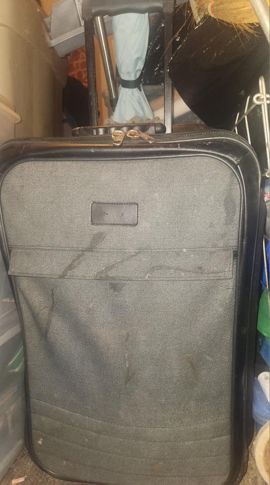 Used Black Wheeled Suitcase with Handle Medium